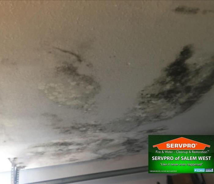 A mold infested ceiling with growth patches
