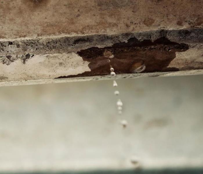 a small leak is pictured showing signs of long-term damage to surrounding wood