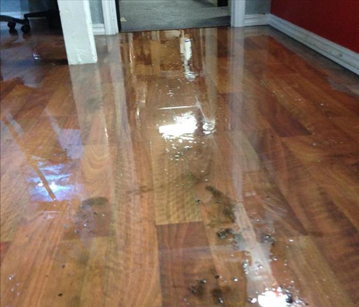 standing water on hardwood floor