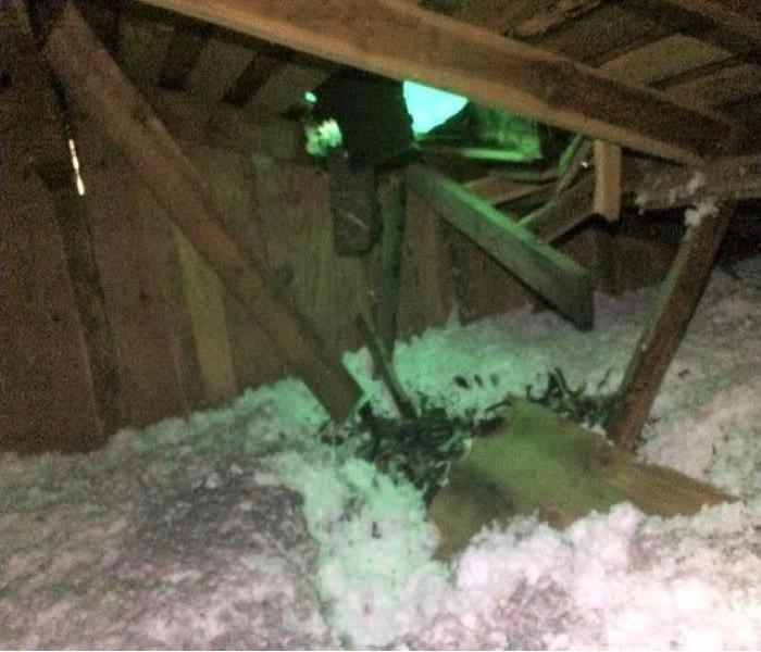 An attic space shows a tree has punctured a hole through the roof